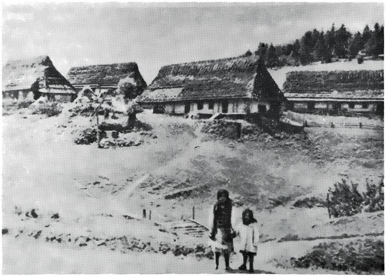 Sanok Village
