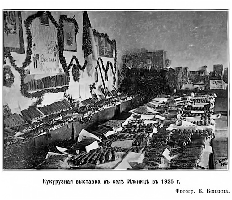 Кукурузная выставка въ селѣ Ильницѣ въ 1925 г., Фотог. В. Бензина.